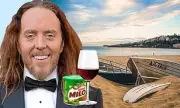 Tim Minchin Sparks Outrage Over 'Cheap Pinot Noir' Comments – Fans Divided