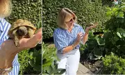 Tortoise's Great Escape: Missing Pet Found Three Miles Away After Month-Long Adventure