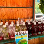 Tourist Alert: Over a Dozen Holidaymakers Die in Greece Amid Scorching Heatwave