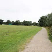 Tragedy in Westminster: Woman Killed by Falling Tree Branch During Storm