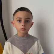 Tragedy Strikes: 4-Year-Old Boy Killed in Dog Attack in Cornwall