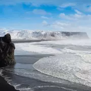 Tragedy Strikes: 9-Year-Old Girl Dies After Being Bitten by 'World's Most Venomous' Spider