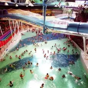 Tragedy Strikes: Four-Year-Old Girl Dies After Falling Ill at School in Westminster