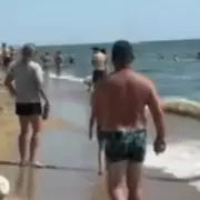 Tragedy Strikes Ukraine Beach: Three Tourists Dead in Suspected Poisoning Incident
