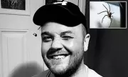 Tragic Death: Father Killed by Venomous Spider Bought Online