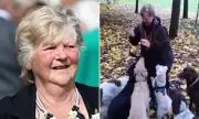 Tragic Death of Great-Grandmother, 75, Crushed by Falling Tree Branch on Dog Walk Prompts Council Safety Questions
