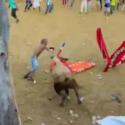 Tragic End: Man Killed by Bull After Taunting Animal at Spanish Festival