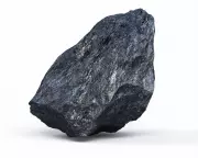 Trump Administration Labels Coal as Female – The Bizarre Reasoning Behind It