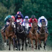 Tuesday's Top Horse Racing Picks: Expert Selections for Today's Races