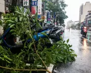 Typhoon Podul Batters Taiwan: Latest Updates on Destruction and Relief Efforts