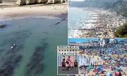 UK Beach Chaos: Sun-Seekers Defy Warnings as Councils Forced to Close Overcrowded Shores