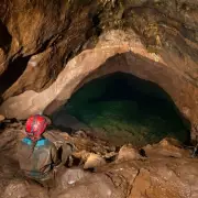 UK Electrician Endures 'Worst Death Imaginable' After 15-Minute Wait for Help