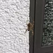 UK Homeowners Warned: This Forgotten Household Chore Could Save You Thousands