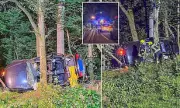 UK-Registered Car in German Horror Crash: Four Dead After Vehicle Veers Off Road and Smashes Into Trees | Daily Mail