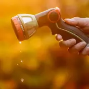 UK Water Crisis Looms: Five Regions at Risk of Severe Shortages by 2030