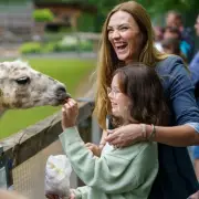 Universal Credit Discounts: How to Claim Your £1 Cinema Tickets & 66% Off Bills