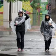 Urgent Gardening Alert: Protect Your Plants From Killer Frost Now!