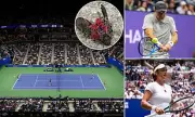 US Open Plagued by Invasion of Flying Insects: 'Sex-Crazed' Bugs Disrupt Quarter-Final Clash