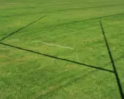 US Rugby Crisis Deepens as Second MLR Team Collapses in a Week