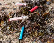 Vaping Waste Crisis: Disposable Vapes Flood UK Coastlines, Alarming Beach Clean Volunteers