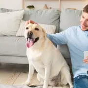 Vet Issues Urgent Warning to Dog Owners Over Common Household Hazard