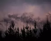 Victoria Police Manhunt: Alleged Cop Killer Vanishes in Alpine Wilderness Near Porepunkah