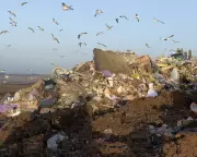 Victoria's Waste Revolution: Is 'Licence to Burn' a Green Solution or Environmental Betrayal?