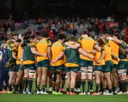 Wallabies vs Springboks: Australia's Redemption Arc in Thrilling Rugby Championship Clash