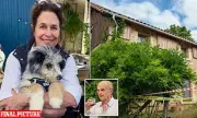 Was a Hitman Hired to Kill British Expat Karen Carter in France? Shocking Details Emerge