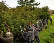 Wealth Tax Alternatives: Boomers Can Contribute Time and Skills Instead