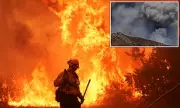 Wildfire Rages Near Los Angeles: Evacuations Ordered as Flames Threaten Homes