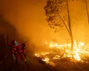 Wildfire Smoke Poses Far Greater Health Risk Than Previously Believed, Groundbreaking Study Reveals