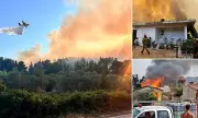 Wildfires Rage Across Greece: Tourists Flee as Thousands Battle Blazes