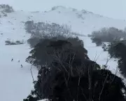 Winter's Final Fury: Southeast Australia Blanketed in Snow as Icy Blast Brings Gale-Force Winds