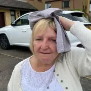 Woman Left Bloodied After Savage Seagull Attack in UK Seaside Town