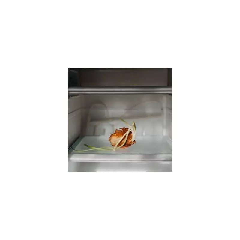 6 Genius Hacks to Keep Onions Fresh for Months | UK Kitchen Tips