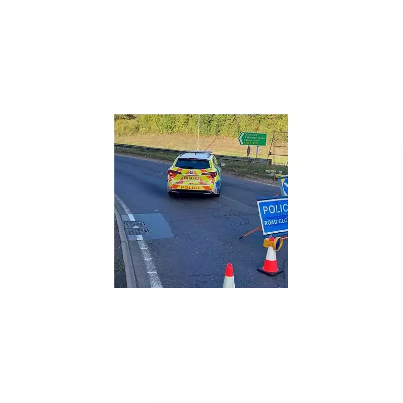 A130 Roundabout Horror: Elderly Pedestrian Killed in Essex Crash - Police Appeal for Witnesses