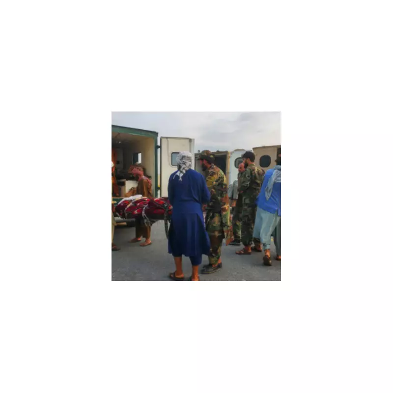 Afghanistan Earthquake: Terrifying Moment Doctor Films Hospital Shaking During 6.3 Magnitude Aftershock