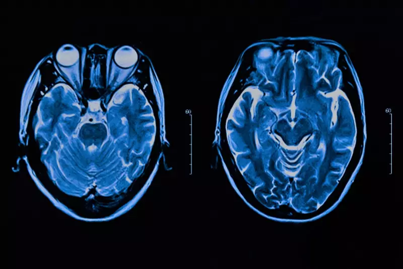 AI Breakthrough: New Algorithm Predicts Depression Risk with 90% Accuracy