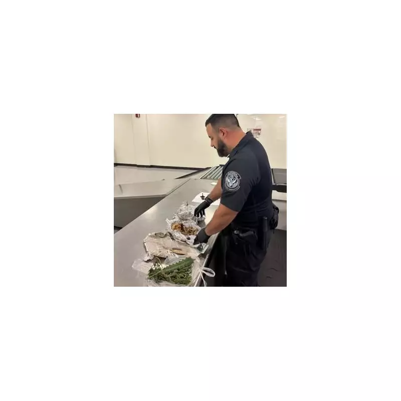 Airport Horror: US Border Patrol Discovers Migrant Stuffed Inside Suitcase in Shocking Human Trafficking Case