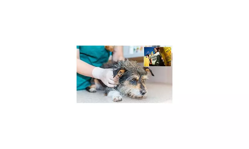 Animal Rebellion Activist Steals Family Dog in Shocking Vegan Extremist Stunt | London