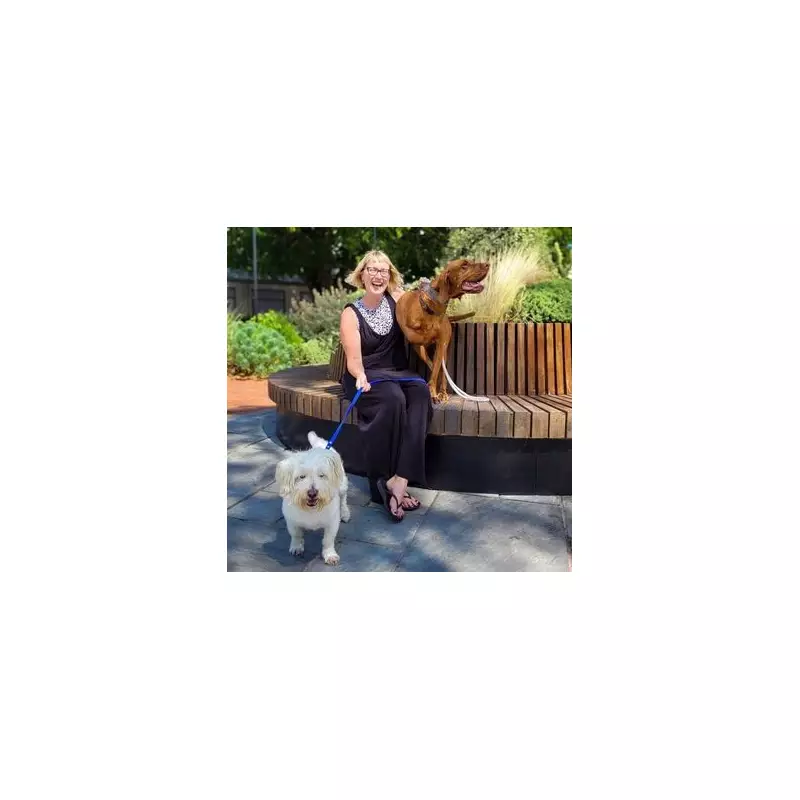 Are Hotel Staff Treating Your Dog Better Than You? Shocking UK Travel Comparison Exposed