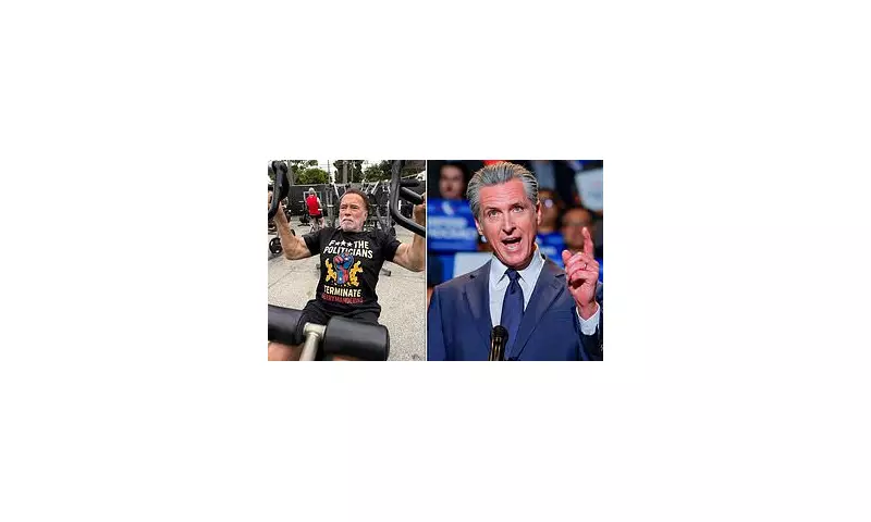 Arnold Schwarzenegger Blasts Gavin Newsom's California Redistricting Plan as 'Betrayal of Democracy'