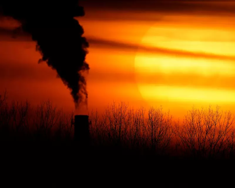 Australia's 2035 Climate Crucible: Inside Labor's High-Stakes Emissions Target Decision