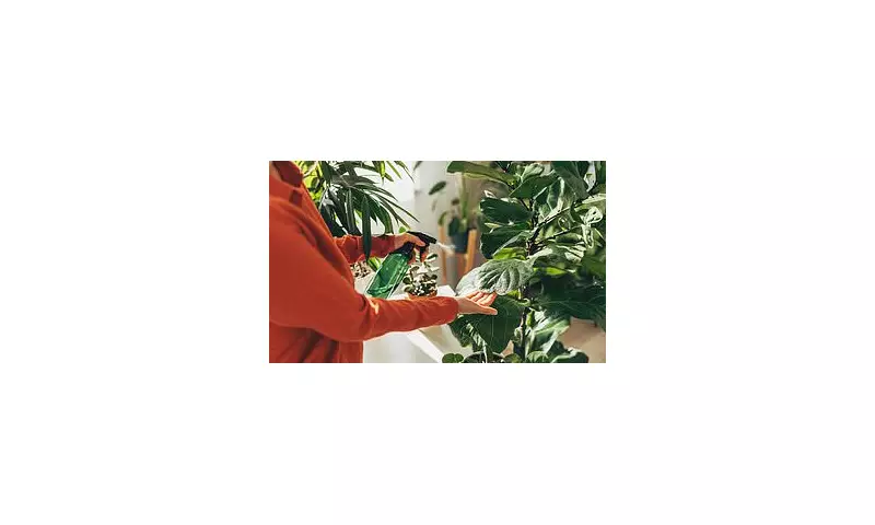 Autumn Houseplant Survival Guide: Expert Tips to Keep Your Indoor Garden Thriving