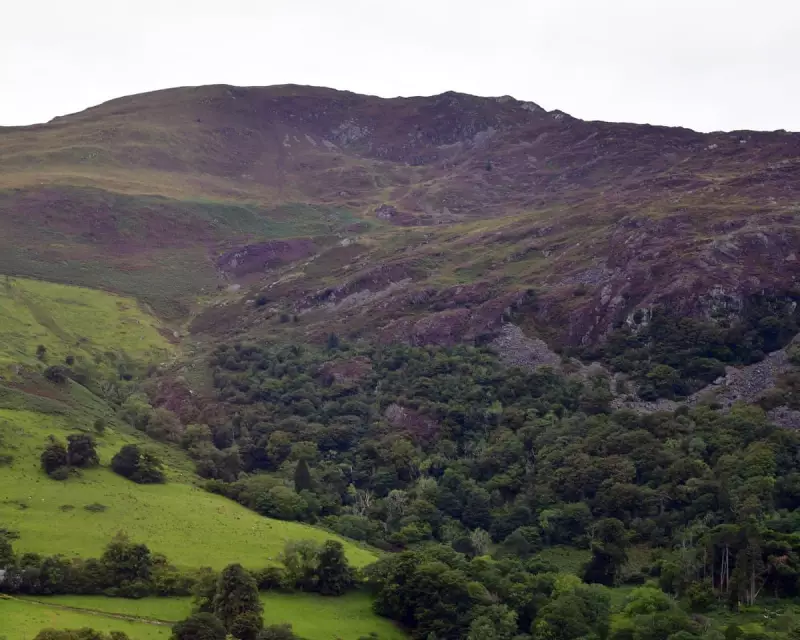 Autumn's Majestic Palette: A Breathtaking Walk Through the Lake District's Fall Transformation