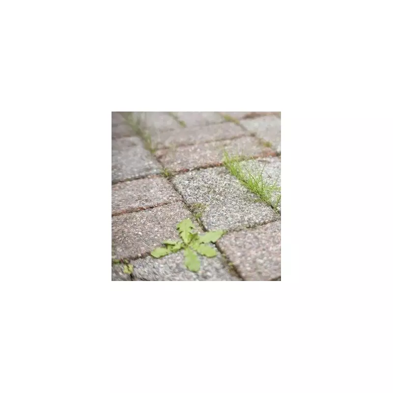 Banish Patio Weeds Forever: The One Natural Wonder That Obliterates Unwanted Growth