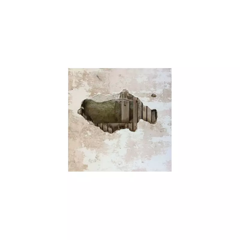 Bathroom Renovation Shocker: Couple Discover Hidden Chamber Behind Wall in Yorkshire Home