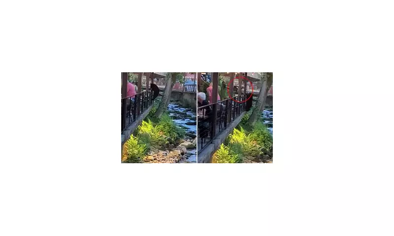 Bear Panic at UK Restaurant: Diners Sent Fleeing as Mischievous Bruin Invades Terrace