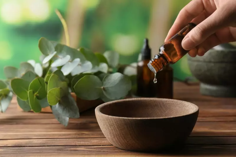 Beyond the Sniffles: The Surprising Health & Beauty Benefits of Eucalyptus Oil